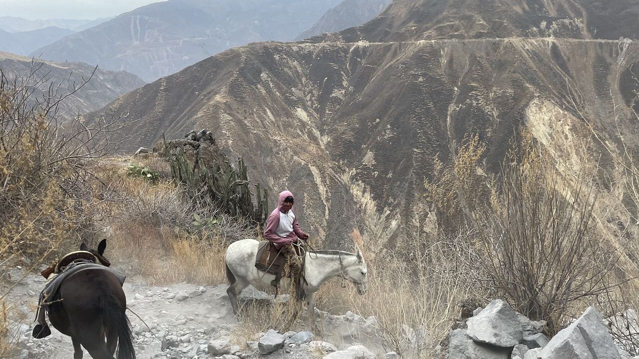 Colca Canyon in Peru (10)