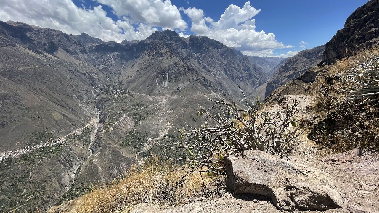 Colca Canyon in Peru (8)